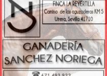 GANADERIA SANCHEZ NORIEGA